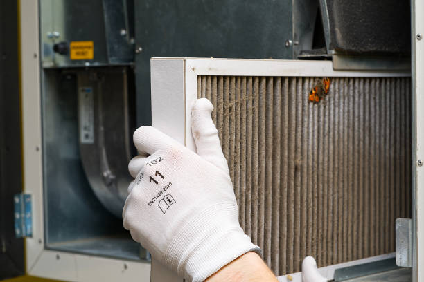 Best Local Air Duct Cleaning Services  in Lindsay, TX