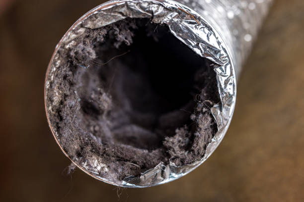 Best Commercial Air Duct Cleaning  in Lindsay, TX