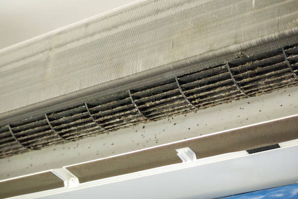 Best Ventilation Cleaning Services  in Lindsay, TX